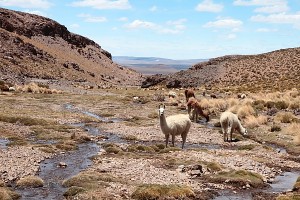 Visiter l’Amérique Latine en 3 destinations